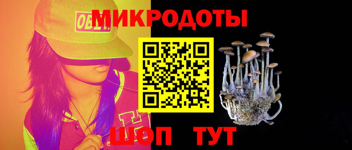 Хасавюрт  Галлюциногенные грибы GOLDEN TEACHER  Псилоцибиновые грибы Cubensis  Вход с VPN 
